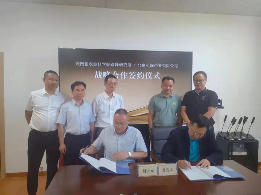云南省农业科学院茶叶研究所与北京小罐茶业今日合作签约